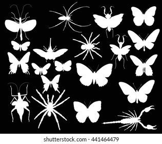 illustration with insect collection isolated on black background