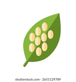 ilustração de ovos de insetos colocados em uma folha verde. Representa o primeiro estágio do ciclo de vida do inseto. Ideal para a educação biológica e visuais de ciência