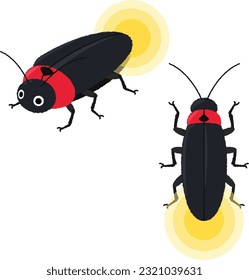 Illustration of an insect. Fireflies communicate by letting their friends know where they are by making their bottoms glow.