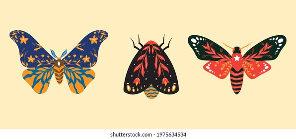 illustration of insect folk art design