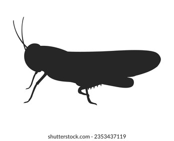 Illustration of insect grasshopper silhouette.