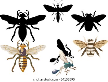 illustration with insect isolated on white background