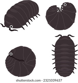 Illustration of an insect. Pill bugs are often found under fallen leaves, dead trees, and under stones.