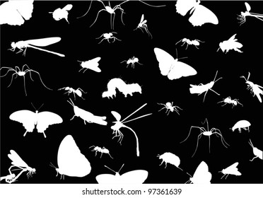 illustration with insect silhouettes background