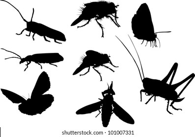 illustration with insect silhouettes isolated on white background