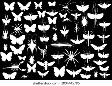 illustration with insect silhouettes isolated on black background