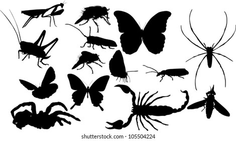 illustration with insect silhouettes isolated on white background