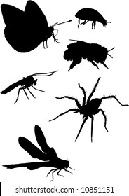 illustration with insect silhouettes isolated on white background