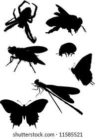 illustration with insect silhouettes isolated on white background