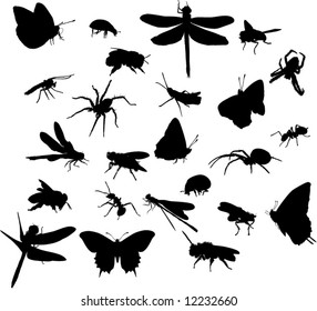 illustration with insect silhouettes isolated on white background