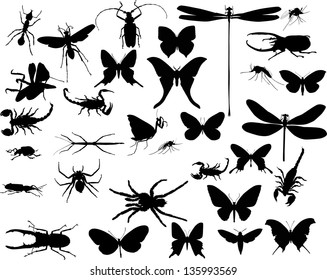 illustration with insect silhouettes isolated on white background