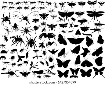 illustration with insect silhouettes isolated on white background