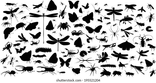 illustration with insect silhouettes isolated on white background
