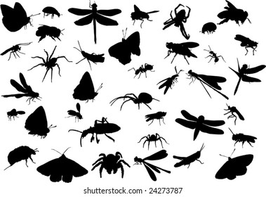 illustration with insect silhouettes isolated on white background