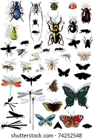 illustration with insect silhouettes isolated on white background