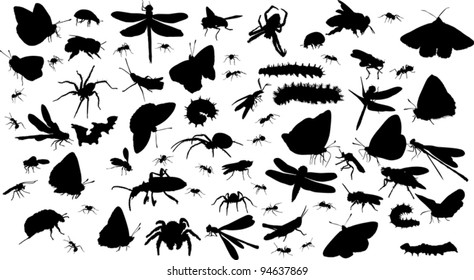 illustration with insect silhouettes isolated on white background