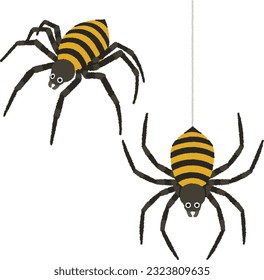 Illustration of an insect. Spiders are not insects, they are closely related to mites and scorpions. Creatures that cause discomfort to humans