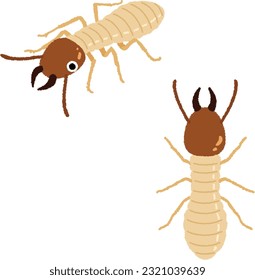 Illustration eines Insekts. Termiten unterscheiden sich in Bezug auf Ernährung und Ökologie völlig von Ameisen und sind eher wie Küchenschaben.
