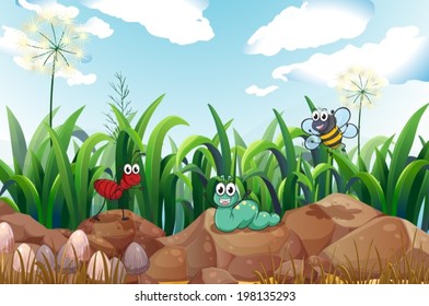 Illustration of the insects above the rocks