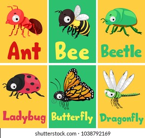 Illustration of Insects Flash Cards from Ant, Bee, Beetle, Ladybug, Butterfly to Dragonfly