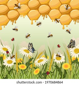 Illustration with insects and flowers.Chamomiles, dandelions, insects and honeycomb in color vector illustration.