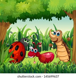 Illustration of the insects at the forest