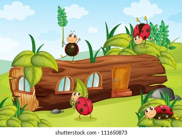 illustration of insects and house in a beautiful nature
