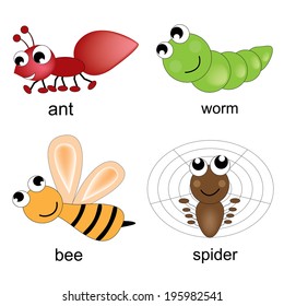 illustration insects on white background
