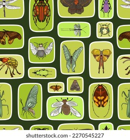 Ilustración insectos de fondo de patrón sin fisuras. Diversos escarabajos, mariposa, mosquito, libélula, polilla, mantis en rectángulos o cuadrados. Para imprimir, tarjetas, paquetes, papel pintado, interior, ropa