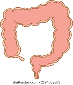Illustration of the inside of a typical large intestine