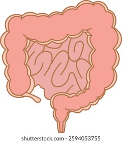 Illustration of the inside of a typical large intestine, with small intestine