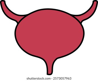 illustration of internal organs anatomy human body