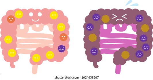 Illustration Of Intestinal Flora (bacteria Balance)