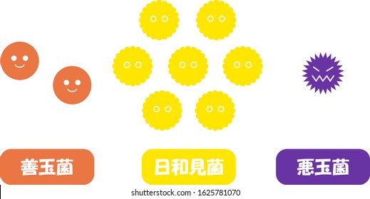 Illustration of intestinal flora (bacteria balance)/Japanese is good bacteria, opportunistic bacteria, bad bacteria