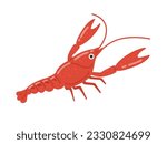 An illustration of an invasive American crayfish.