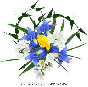 illustration with iris and jasmine flowers isolated on white background