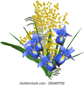 illustration with iris and mimosa flowers isolated on white background
