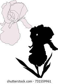 ilustración con siluetas de iris aisladas en fondo blanco
