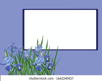 illustration with irisis flowers on blue frame