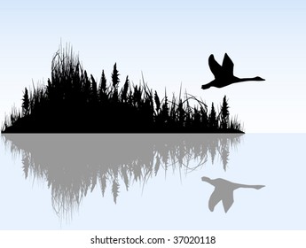 Illustration of island and bird