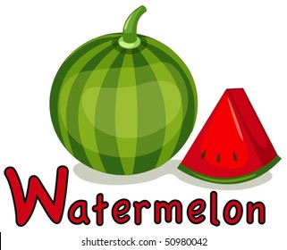 illustration of isolated  alphabet W for watermelon on white