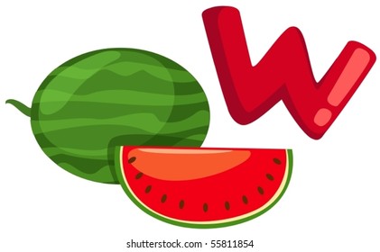 illustration of isolated  alphabet W for watermelon on white
