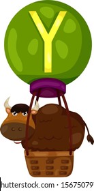 illustration of isolated  alphabet Y for yak on white