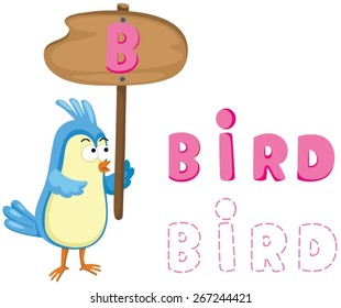 illustration of isolated animal alphabet b with bird