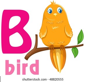 illustration of isolated animal alphabet B with bird on branch