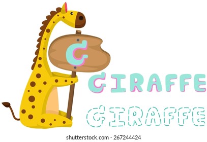 illustration of isolated animal alphabet g with giraffe