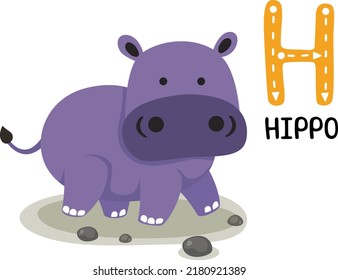 Illustration Isolated Animal Alphabet Letter H-Hippo