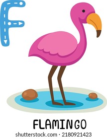 Illustration Isolated Animal Alphabet Letter F-Flamingo