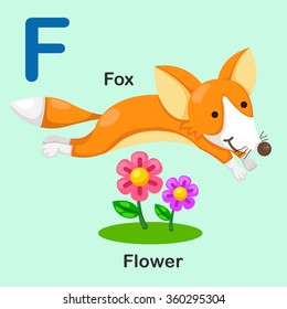 Illustration Isolated Animal Alphabet Letter F-Fox-Flower.vector