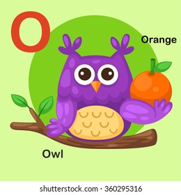 Illustration Isolated Animal Alphabet Letter O-Owl,Orange.vector